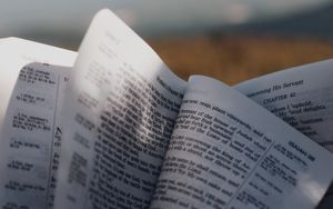 Das Thomasevangelium - Warum diese Schrift nicht im Neuen Testament enthalten ist