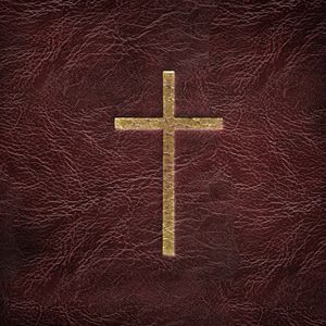 Jesus - nur Mensch oder doch Gott?