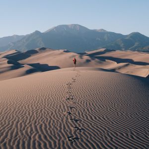 Der Prediger in der Wüste