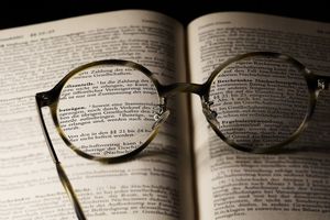 Der Parallelismus, die Metapher und du