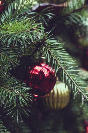 Fröhliche Weihnachten