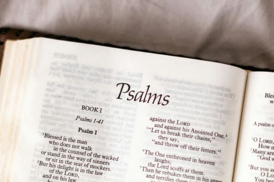 Die Psalmen - das Gesang- und Gebetbuch der Bibel