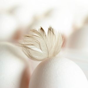 Was feiern wir an Ostern?