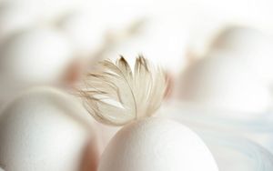 Was feiern wir an Ostern?