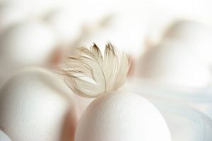 Was feiern wir an Ostern?