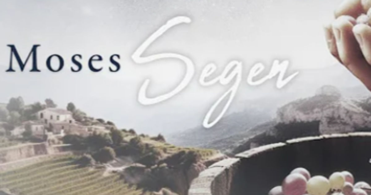 Sitemapcdatahttpswwwkedriinfofiat Segen Cross
