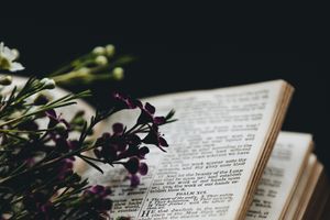 Ich glaube allem, was im Gesetz und in den Propheten geschrieben steht