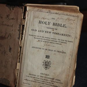 Prophetische Rede verachtet nicht