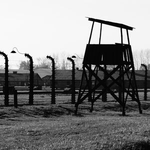 Der Christ und das Leiden