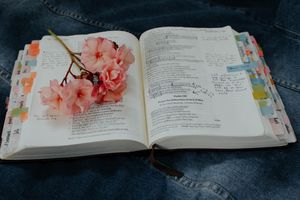 Die Wunder der Bibel - im 21. Jahrhundert noch zumutbar? (Erschienen in der Zeitschrift "Geschäftsmann und Christ")