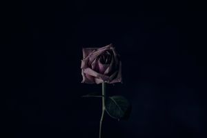 Der Tod ist tot