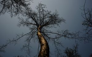 Die größte Katastrophe der Menschheitsgeschichte