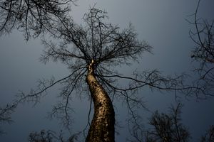 Die größte Katastrophe der Menschheitsgeschichte