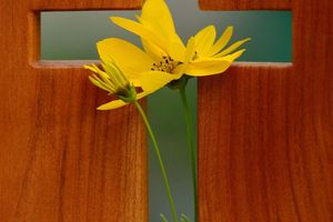 Der ewige Gott und die sterblichen Menschen