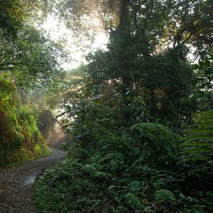 Brasilien 1: Verirrt im Dschungel | Die Doppeldecker Crew | Hörspiel für Kinder (Hörbuch)