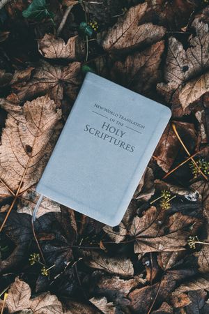 Die Wunder der Bibel - Zumutung oder Tatsache?