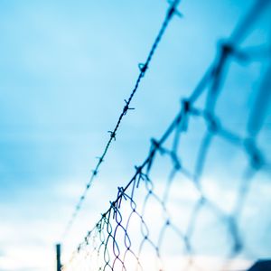 Begnadigung. Gefängnis-frei-Karte?