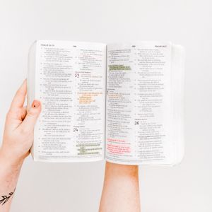 Ist die Bibel glaubwürdig?