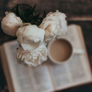 What a beautiful name