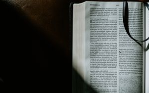 Das Amt des Apostels unter den Heiden