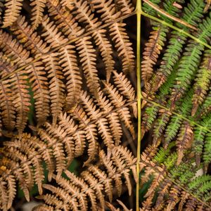 ...am Elend seine Friedensgedanken