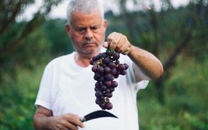 Ernte und Weinlese
