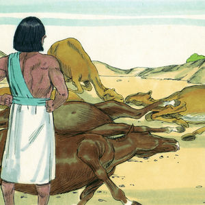 Bibel Illustrationen - Exodus 9