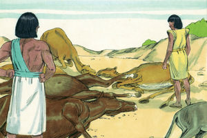 Bibel Illustrationen - Exodus 9