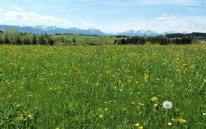 Evangelisation - Die Methode Gottes