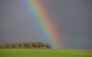 Zeichen und Wunder (Teil 2)