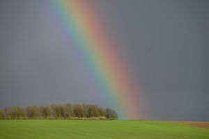Zeichen und Wunder (Teil 2)
