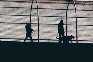 Die Bedeutung biblischer Unterweisung und klarer Regeln