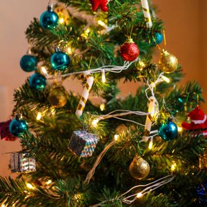 Bills besonderer Weihnachtsbaum