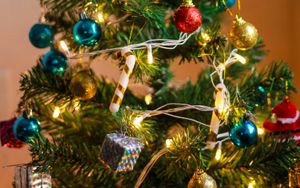 Bills besonderer Weihnachtsbaum