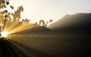 Licht nach dem Dunkel