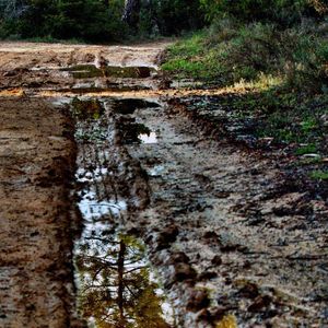 TiFam, Der Zauberer tobt (3/6)