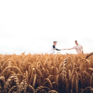 Ernte sei Dank oder Gott sei Dank?
