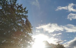 Im Licht Gottes