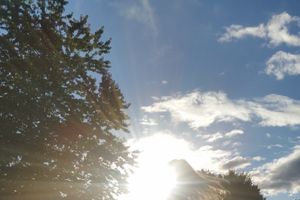 Im Licht Gottes