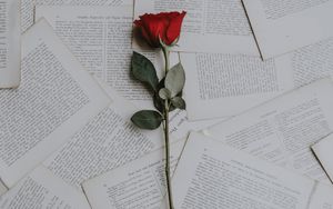 Kennzeichen "L" (Liebe)