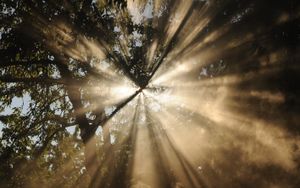 Jesus, das Licht der Völker