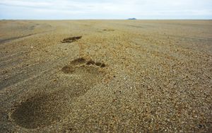 In Gottes Spur bleiben - ein Leben lang