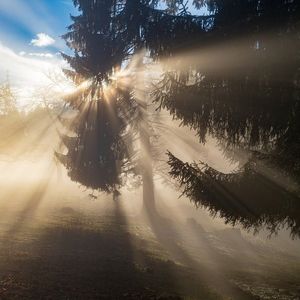 Leben im Licht ... oder in der Grauzone?
