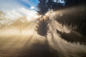 Leben im Licht ... oder in der Grauzone?
