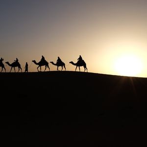 Die Reise der Königin von Saba