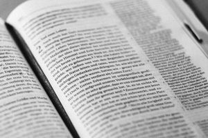 Einführung und Daniel 1, 1-21