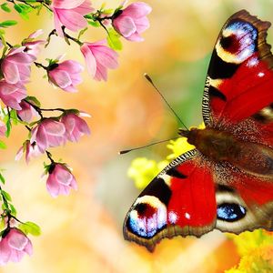 "Ich weiß, daß mein Erlöser lebt"