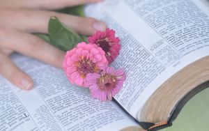 29: WIE VIEL Drohbotschaft steckt wirklich in der Bibel?!