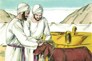 Bibel Illustrationen - Exodus 29