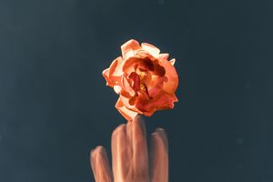 Was Menschen zu Jesus zieht